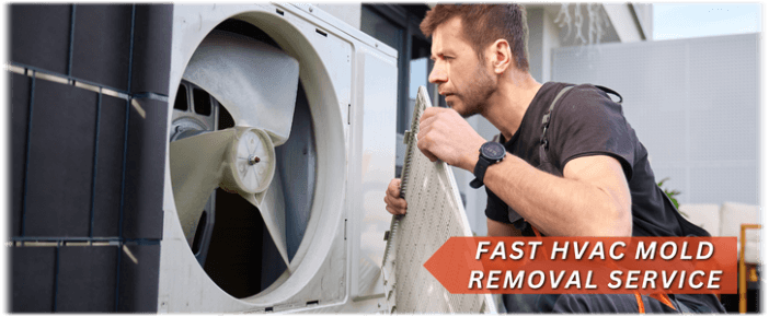 HVAC Mold Removal Providence RI